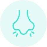 Nasal Conditions